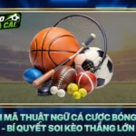 Giải Mã Thuật Ngữ Cá Cược Bóng Đá - Bí Quyết Soi Kèo Thắng Lớn