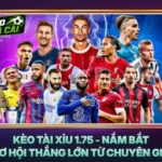 Kèo Tài Xỉu 1.75 - Nắm Bắt Cơ Hội Thắng Lớn Từ Chuyên Gia