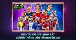 Kèo Tài Xỉu 1.75 - Nắm Bắt Cơ Hội Thắng Lớn Từ Chuyên Gia