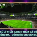 Xử Lý Thất Bại Khi Thua Cá Độ Bóng Đá - Góc Nhìn Chuyên Gia