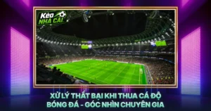 Xử Lý Thất Bại Khi Thua Cá Độ Bóng Đá - Góc Nhìn Chuyên Gia